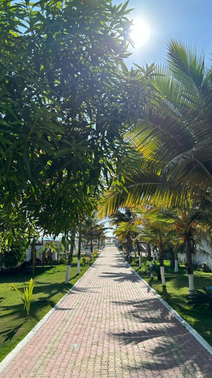 Hotel La Mar Playas Exterior photo